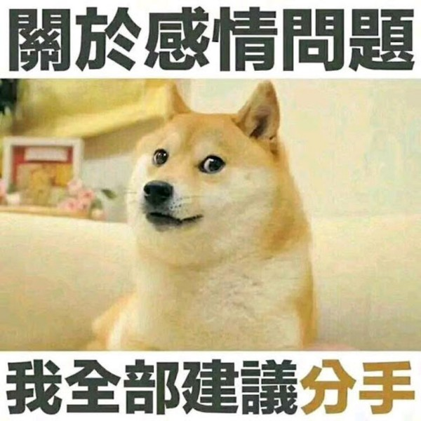 狗狗币的诞生：从讽刺到加密货币的传奇故事