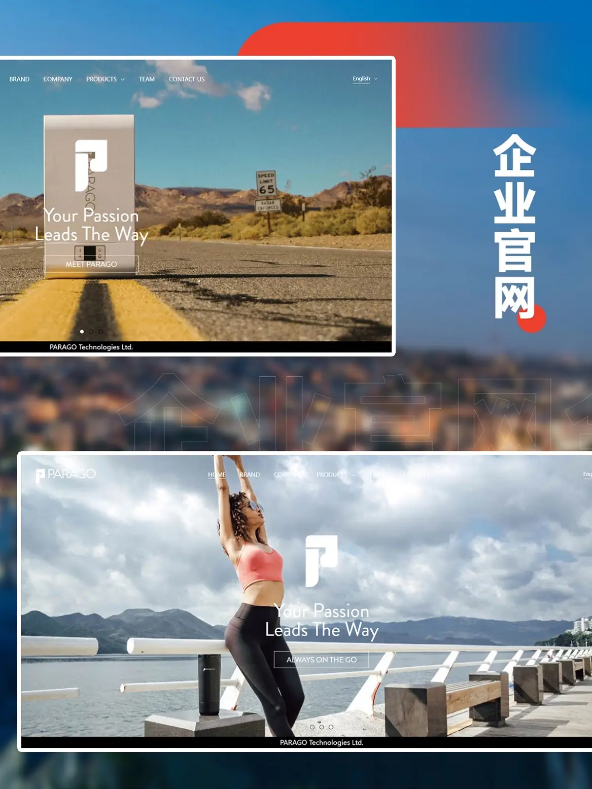 高端网站开发中的性能优化：全方位策略与重要性解析