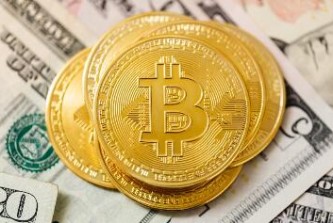 小狐狸钱包最新版：时尚设计、安全保障与便捷备份的完美结合
