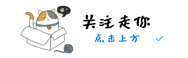 深入分析比特币的价格波动：市场和投资者都在关注什么？_比特币波动率指标哪里看_比特者波动币深入关注价格走势