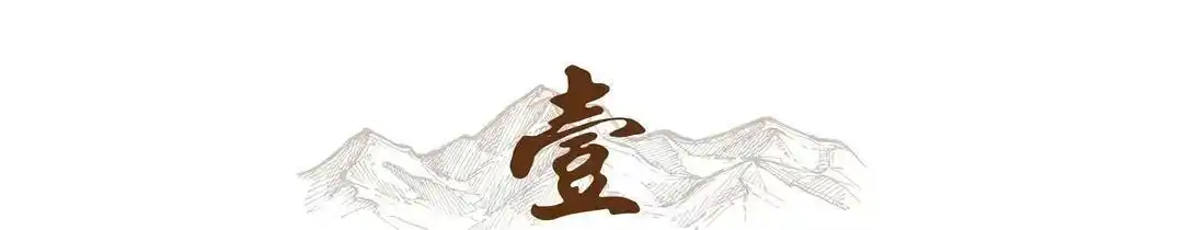 新中兴公司发展_中兴战略分析_中兴在新兴市场的表现与挑战