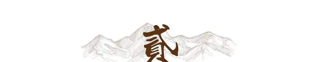 中兴在新兴市场的表现与挑战_新中兴公司发展_中兴战略分析