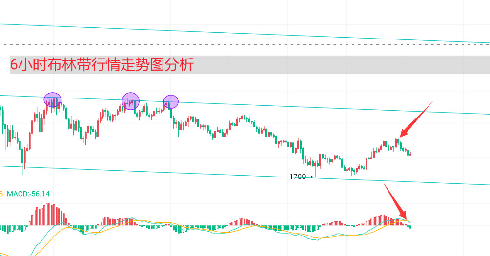 如何通过绿色版比特币APP实现多种投资策略？_比特币绿色是涨还是跌_比特币绿皮书