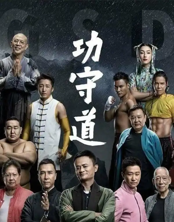 李连杰对手经典演员合作的电影_李连杰的经典对手与合作演员_李连杰对手经典演员合作过吗