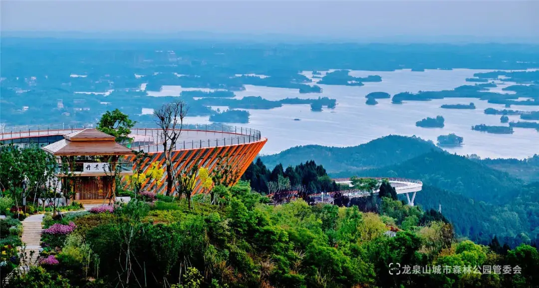 电力汽车在城市交通中的应用前景_做电力运维的发展前景_电力交易中心前景
