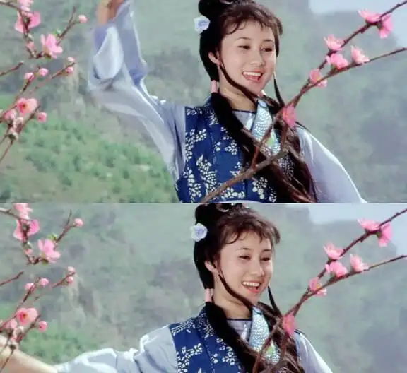 李连杰对手经典演员合作的电影_演李连杰对手的演员_李连杰的经典对手与合作演员