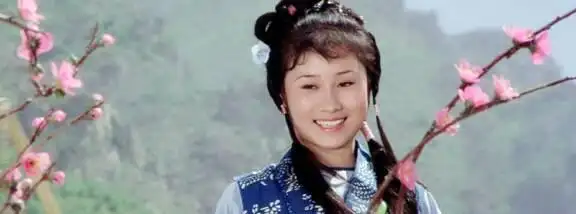 李连杰的经典对手与合作演员_演李连杰对手的演员_李连杰对手经典演员合作的电影