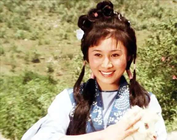 演李连杰对手的演员_李连杰的经典对手与合作演员_李连杰对手经典演员合作的电影