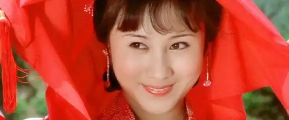 演李连杰对手的演员_李连杰对手经典演员合作的电影_李连杰的经典对手与合作演员