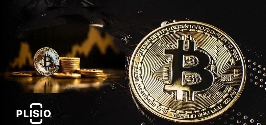 比特币的泡沫与反泡沫：投资者如何识别市场波动_比特币泡沫是什么意思_比特币泡沫会破裂吗