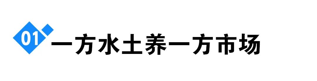 新兴市场的挑战_挑战新行业_一加在新兴市场的表现与挑战