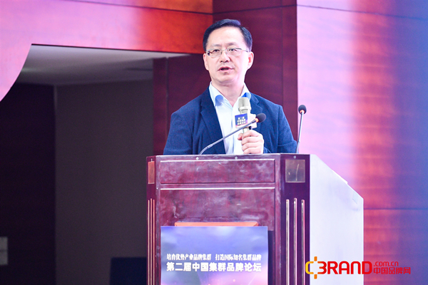 壮丽70年奋斗新时代：第二届中国集群品牌论坛在京举办，共探产业升级与品牌国际化