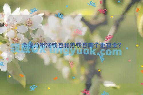冷钱包与热钱包全面对比：哪种数字资产存储方式更安全？