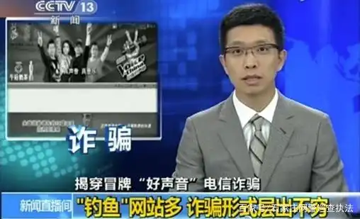 黑客骗局欺诈怎么处理_欺诈、黑客和骗局_黑客骗术